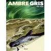 Image de Ambre Gris - Première partie - Michel Durand en occasion ou reconditionné