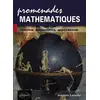 Image de Promenades mathématiques : Histoire, fondements, applications - Frédéric Laroche en occasion ou reconditionné