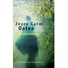 Image de Mudwoman - Joyce carol Oates en occasion ou reconditionné