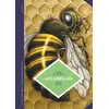 Image de La petite Bédéthèque des Savoirs - Tome 20 - Les Abeilles. Les connaître pour mieux les protéger. - Le Conte Yves, Solé Jean en occasion ou reconditionné