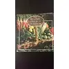 Image de Légumes Saveur et tradition: Tome 2 - Marie-Christine Valschaerts en occasion ou reconditionné