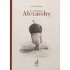 Image de Les aventures d'Alexandre le gland - Olivier Douzou en occasion ou reconditionné