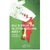 Image de Qui a peur de la littérature ado ? - Annie Rolland en occasion ou reconditionné