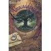 Image de Abracadagascar, Tome 1 : La Fabuleuse Histoire des lunes de Pandor - Marphil Ménéas en occasion ou reconditionné