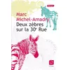 Image de Deux zèbres sur la 30e Rue en occasion ou reconditionné