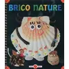 Image de Brico nature - Des bricolages faciles étape par étape - Pako brico (3) - Pauline Gallimard en occasion ou reconditionné