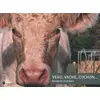 Image de Veau, vache, cochon... - Nicolette Humbert en occasion ou reconditionné