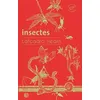 Image de Insectes
