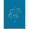 Image de Fesse: Culligrammes & filles de fer - Guillaume Chauchat en occasion ou reconditionné