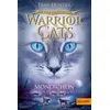 Image de Warrior Cats - Die neue Prophezeiung. Mondschein: Staffel II, Band 2 - Erin Hunter en occasion ou reconditionné