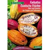 Image de Exotische Früchte: Obst und Gemüse der Tropen und Subtropen (Farbatlanten) - Rolf Blancke en occasion ou reconditionné