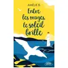 Image de Entre les orages, le soleil brille - Amélie B. en occasion ou reconditionné