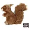 Image de Peluche ecureuil