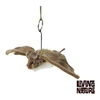 Image de Peluche chauve-souris 24 cm