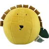Image de Balle sonore mr. Lion