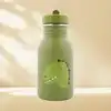 Image de Gourde 350ml - mr. Dino