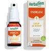 Image de Herbalgem - energem coup de boost - bio