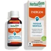 Image de Herbalgem - energem surcharge mentale - bio