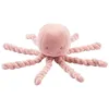 Image de Octopus poulpe rose