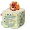 Image de Cube d activites sonore jack