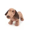Image de Edward le teckel en peluche 19 cm