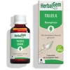 Image de Herbalgem - bourgeon de tilleul - bio