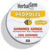 Image de Herbalgem - propolis junior gommes gorge - bio