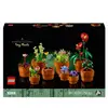 Image de Lego botanicals - plantes miniatures - 10329