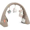 Image de Arche d'activités lalee sable