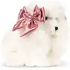 Image de Peluche chiot spitz beige