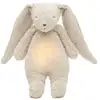 Image de Moonie ? lapin nature bio avec sons et lumieres sable