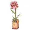 Image de Maquette la rose