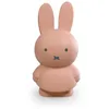 Image de Atelier pierre tirelire miffy warm 18 cm