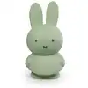 Image de Atelier pierre tirelire miffy warm 18 cm