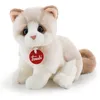 Image de Peluche chat blanc beige 20 cm