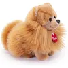 Image de Peluche chien poméranien 22 cm