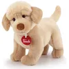 Image de Peluche chien labrador 19 cm