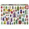 Image de Puzzle adulte - scarabee 500 pcs