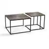 Image de Lot de 2 tables basses bronze fer bronze