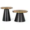 Image de Lot de 2 tables basses fer noir -