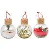 Image de Boules de noël sensorielles