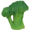 Image de Anneau de dentition brucy le brocoli