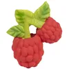 Image de Anneau de dentition valery la framboise