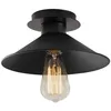 Image de Suspension d'intérieur diam.24cm noir