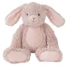 Image de Peluche lapin rosi 22 cm