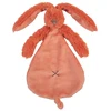 Image de Doudou lapin richie orange 25 cm