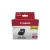 Image de Canon PGI-550PGBK XL Twin pack - Pack de 2 - 15 ml - à rendement élevé - noir - 6431B010