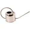 Image de Arrosoir d'intérieur en inox 1 litre