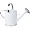 Image de Arrosoir en zinc blanc 5 litres