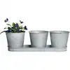 Image de Set 3 pots de fleur en zinc
